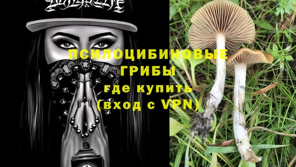 дмт Алексеевка