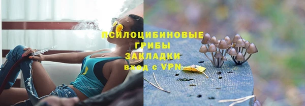дмт Алексеевка