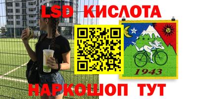 гидропоника Гатчина