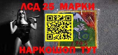 гидропоника Гатчина
