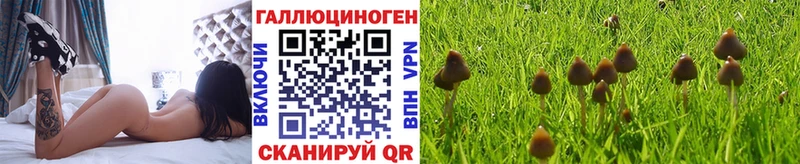 Галлюциногенные грибы GOLDEN TEACHER  купить закладку  Нефтекумск 