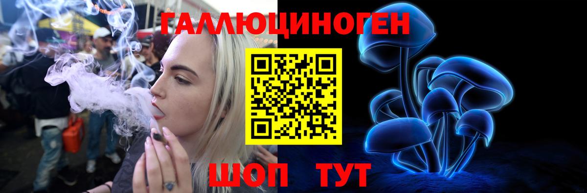 Галлюциногенные грибы Psilocybe  Вход с VPN  Нефтекумск 